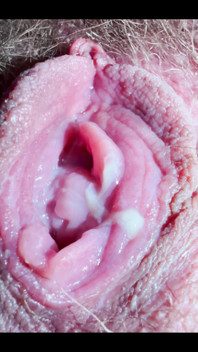Open Pink Pussy Full of Grool