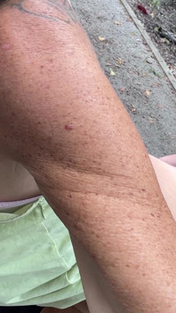 Tesão na floresta. O que acha que acontece?