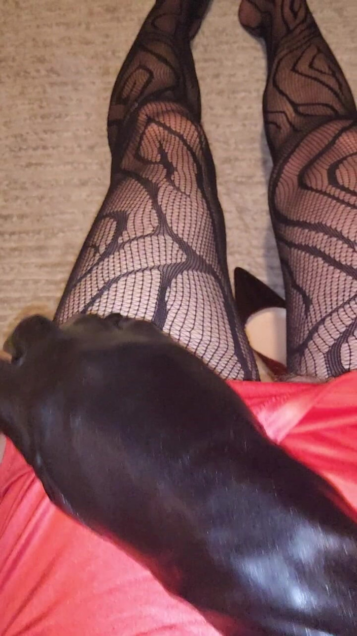 LoverPantyhose: Stoking Fishnet Saya