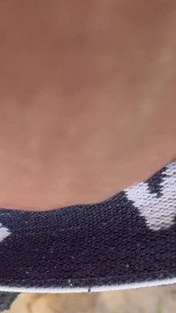See What Under the Panties