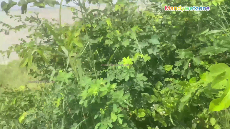 Mandywetzone: Primeiro vídeo da esposa muito tímido, mas finalmente concordou