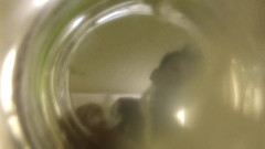 Idmir Sugary: Twink Cums Into Cup of Water ( Inside Glass View ) Floating...