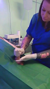 Labă medicală