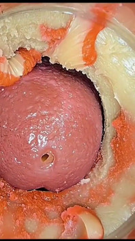 Compilation Creampie Part 5 POV