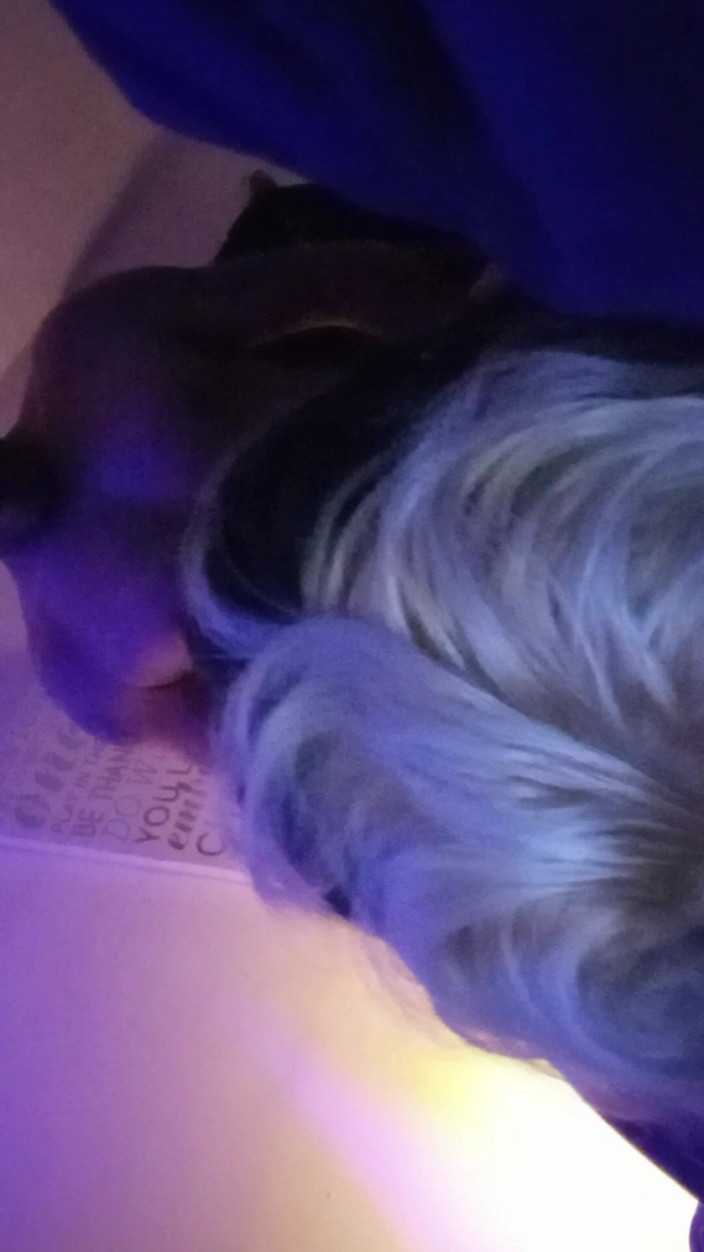 Matt Daddy: Doggy Face