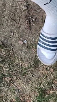 Making Socks Dirty in Slides - Used Socks and Slides and Uncut Soft Cock