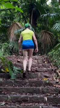 Walking up Old Stairs in the Hawaiian Rainforest
