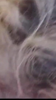 Mijn oude porno - hoofdstuk #03