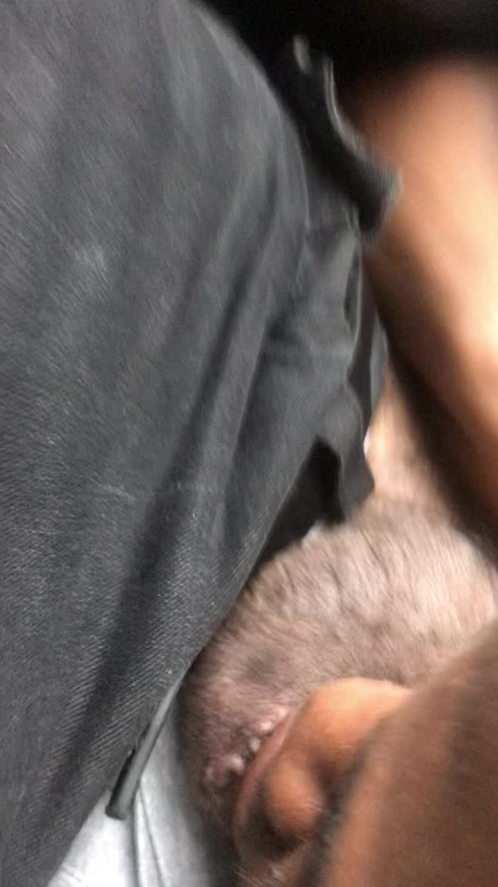 Wondahead21: Gorge dans le fouet