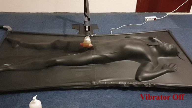 NL Milking: バキュームベッドで制御されたバイブレーターで搾乳