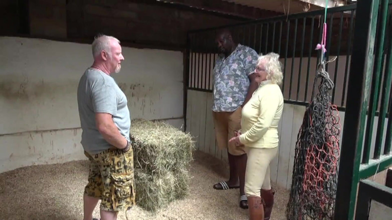 Uk Joolz: Lady Claire et les mains de la ferme