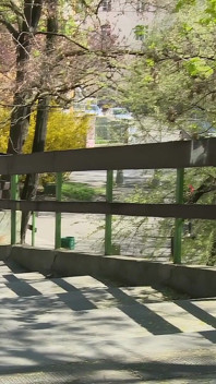 개인 십대 트레이너 격렬한 운동 섹스