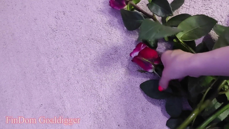 FinDom Goaldigger: Zwei romantische cuckolding-geschichten