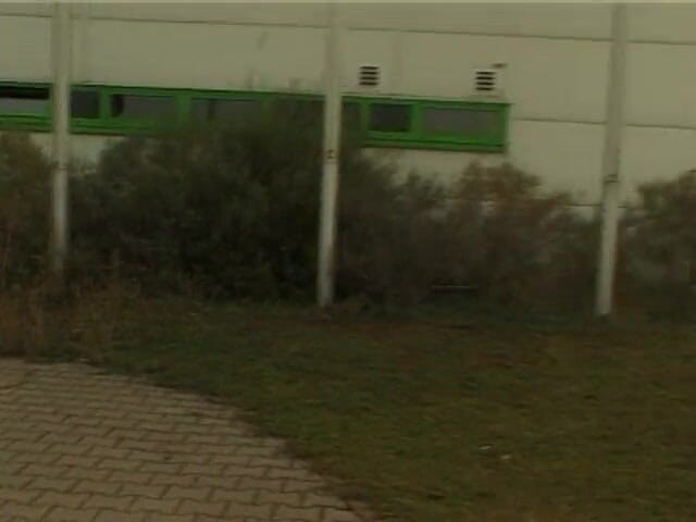 VintageXMovies: Бабушка сосет коренастый член, затем трахается в кустах