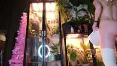 Destination Kat: Decorazione di albero muto