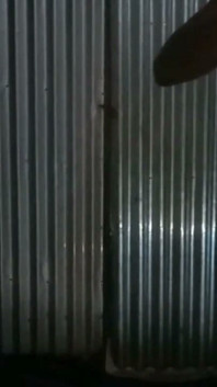 Vídeo do bom dia