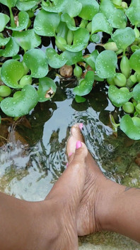 Chilling by the Water Lillies