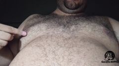Gordito33PIG: Menjelajahi Babi Gemuk
