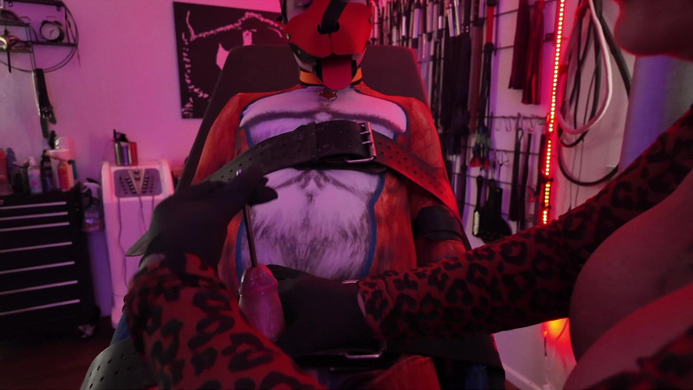 Domina Dark: Slutty Shakkis Fox Cock