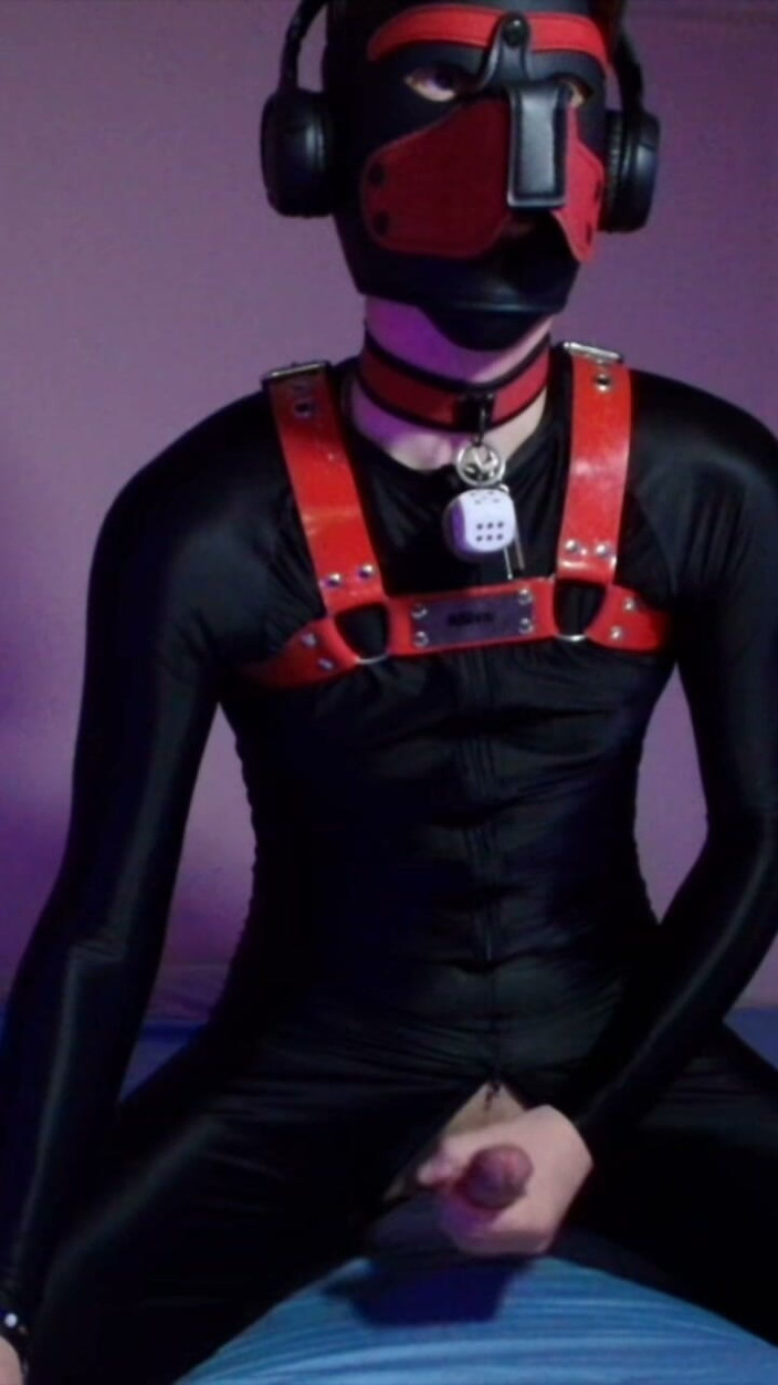 Alex GoodBoy: Remote Controlled Puppy Whimpers While Jerking off