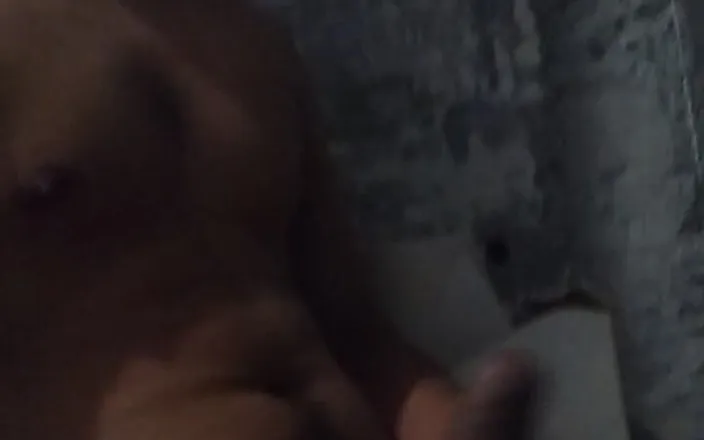 AlexAlejandro13: Where Do I Put This Milk?