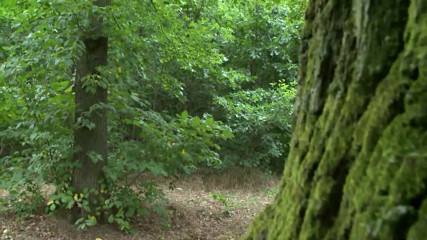 Deutschland porn: Avsugning LesbIska Drottningens utmaning - Scen #02