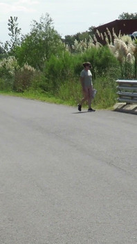 帕特里夏在桥上的马路