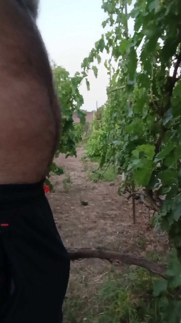 Bob Vajra: Vigna 1