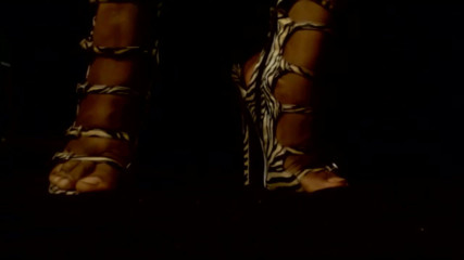 The Goddess Simone: Sexy zebra high heels