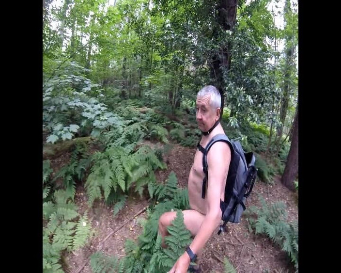 Andy: Deel 2 Wandeling in het bos