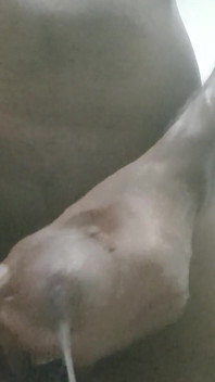 Pierced Big Cock Loading Cum