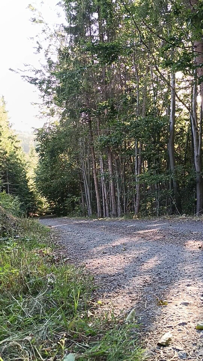 kickerscooter: Scooter Rider Venkovní masturbace