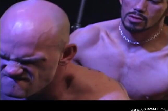 Raging Stallion: Plexus
