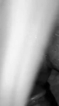 Nazty Katt Burp, Queef & Pedo A2M Mi Nazty Grandota
