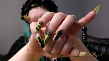 Mxtress Valleycat: Claw worship