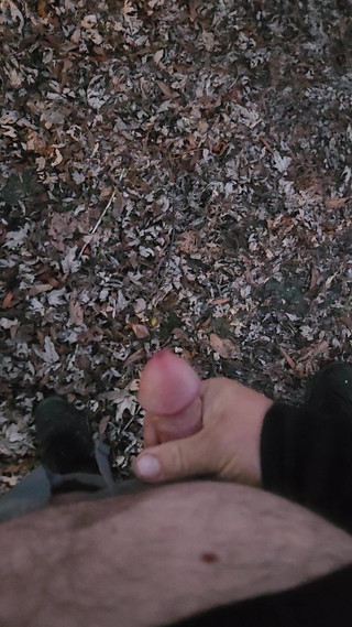 Djk31314: 享受深夜散步