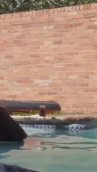 Scopata in piscina