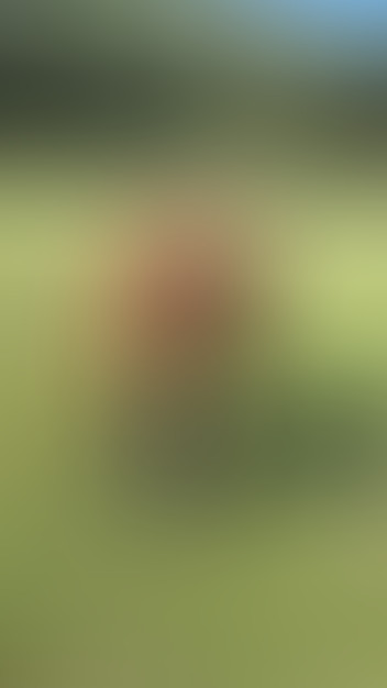 Locked due to age restriction