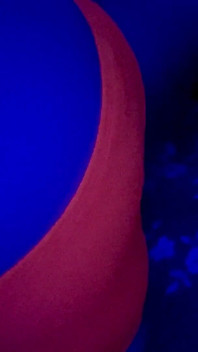 My Neon Panties Are the Only Thing Between You and My Explosive Farts