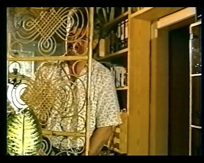 GERMAN PORN CLASSICS: The Secret Viewer