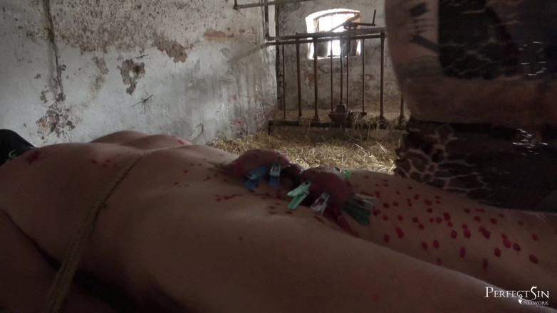 Perfect Sin Network: Boîte de trucs