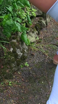 Lexi Ryder mostra le sue tette e piscia