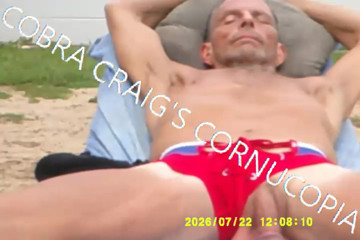 COBRA CRAIG: 7-19-2026 the Cock the Sun Singing Venus Was Her Name...