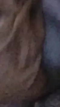 Fuck in Bedroom