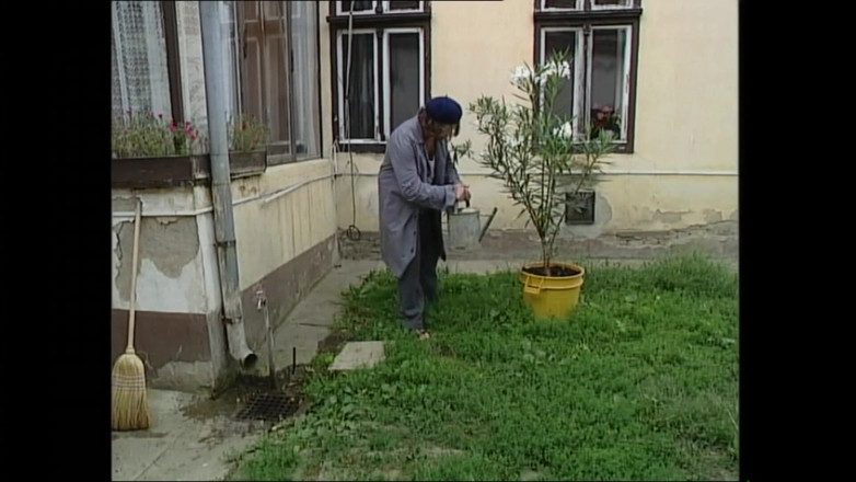 MMV TV - our best full movie: Curvă nesătulă care cerșește sex dur pe la spate (film porno...