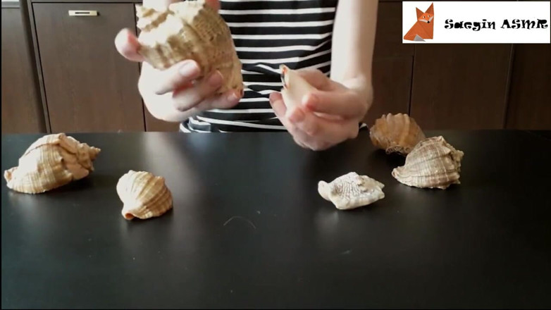 Saegin: 1[ASMR] bergesel bersama dan menggaru seashells (tiada bercakap)
