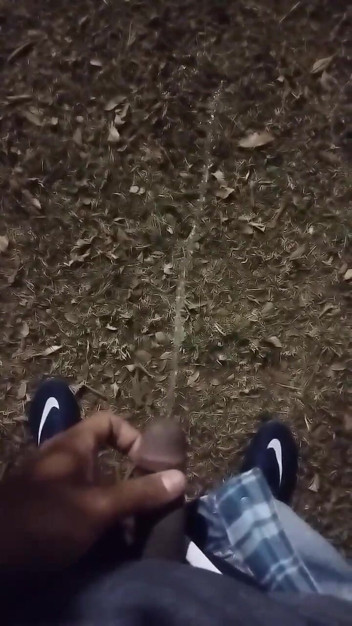 Vida Noite