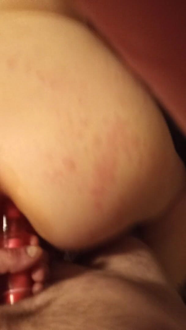 Kinkyfuncpl: Reverse cowgirl analfick