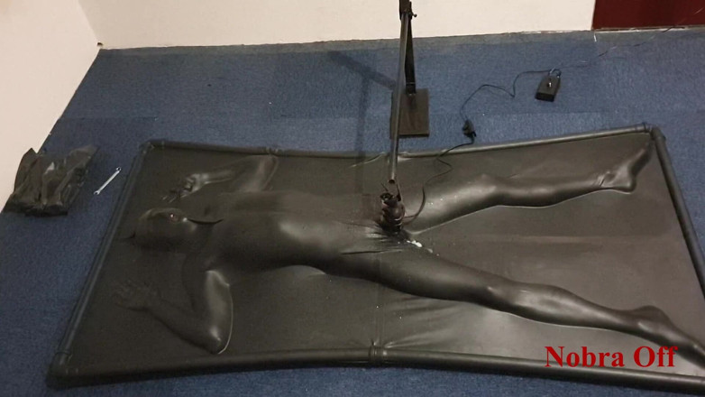 NL Milking: Vacbed a Nobra s časovačem