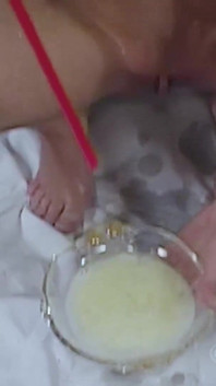 Wild amateur bukkake sex